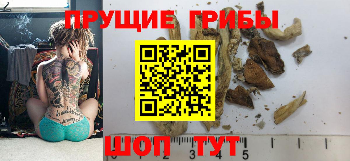 Галлюциногенные грибы Cubensis  Галлюциногенные грибы мицелий  Вход с VPN  Карачаевск 